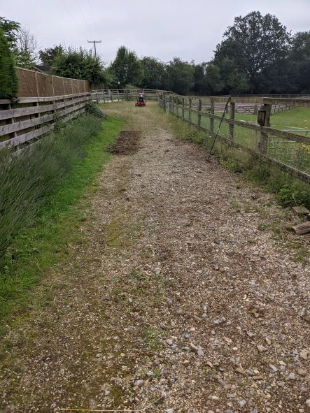 Gravel Path Renovation - How to remove weeds in Gravel - Cover Image